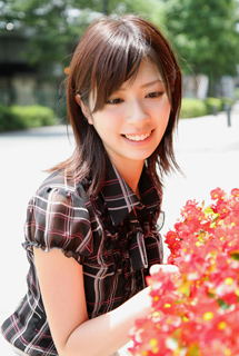 AiET[ ̗p ʐ^ QV
