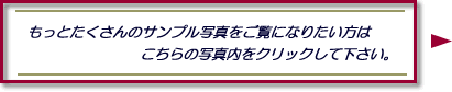 ̃Tvʐ^
