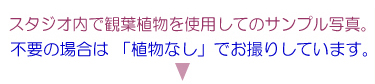 まだまだ続く、細く撮られる講座